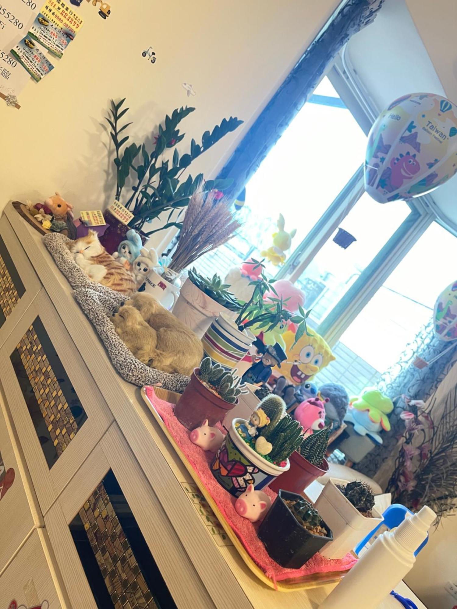 Holiday Homestay Чишан Экстерьер фото